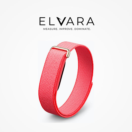 Google Fitbit Air Performance Loop Band | Berry