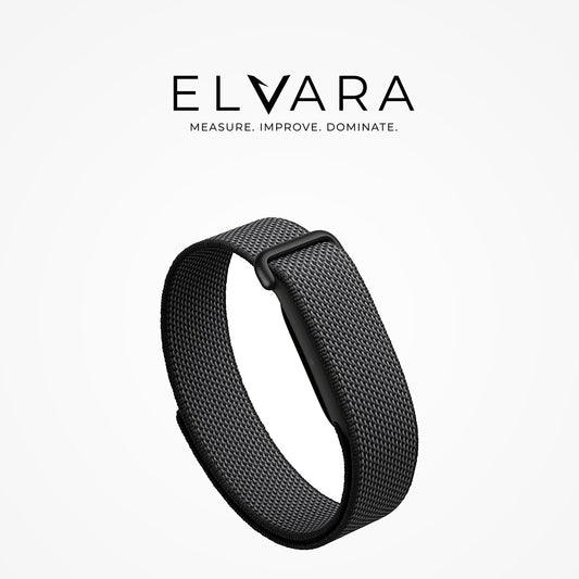 Google Fitbit Air | Obsidian