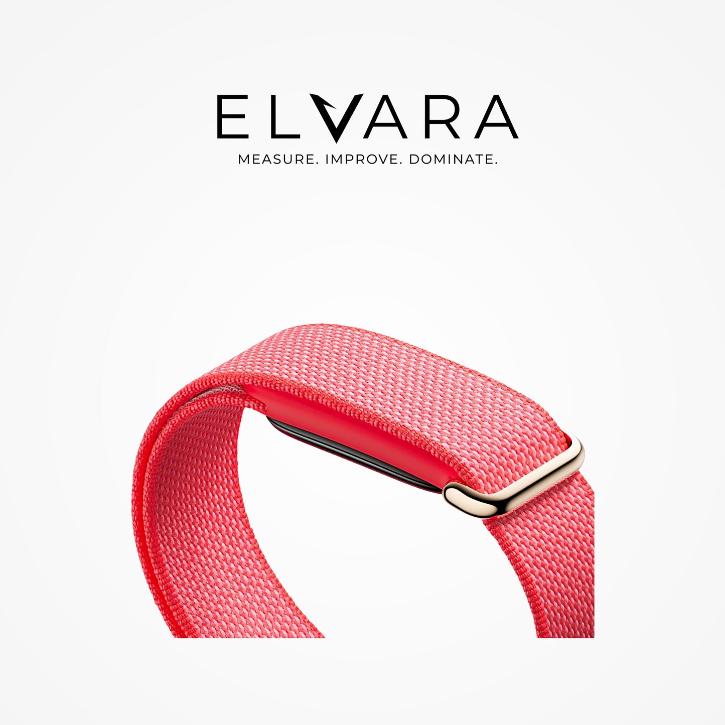Google Fitbit Air | Berry