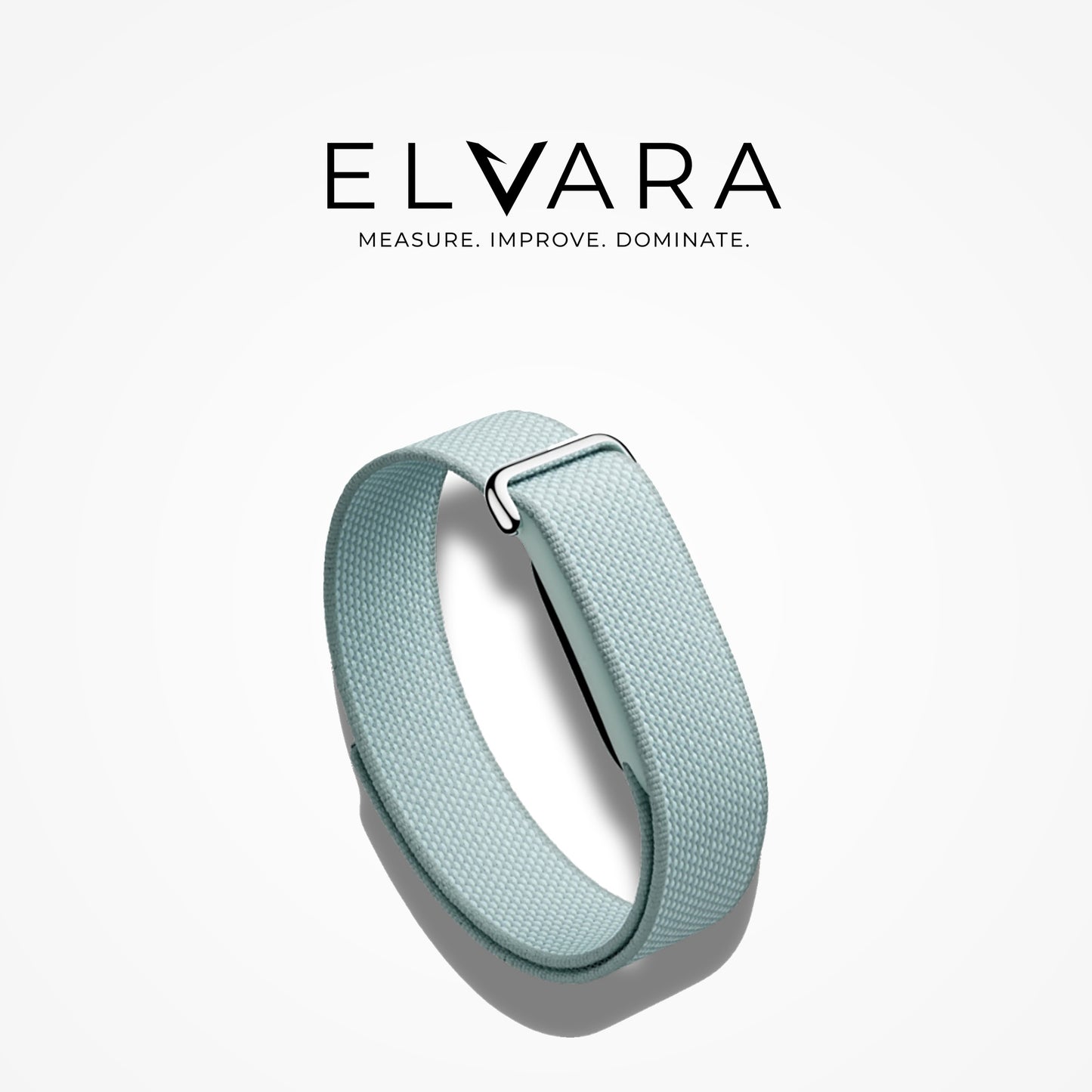 Google Fitbit Air | Fog