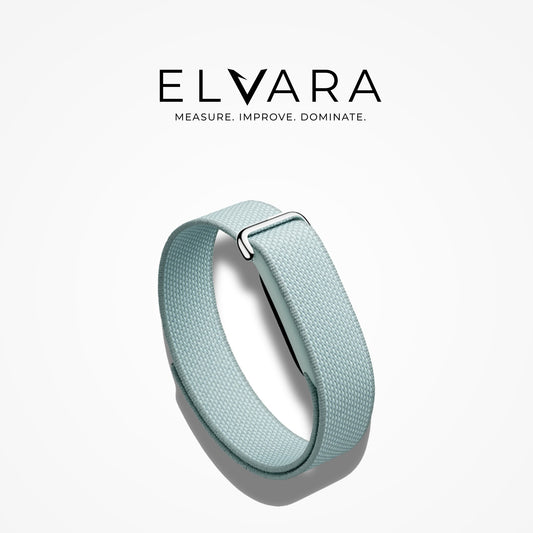 Google Fitbit Air | Fog
