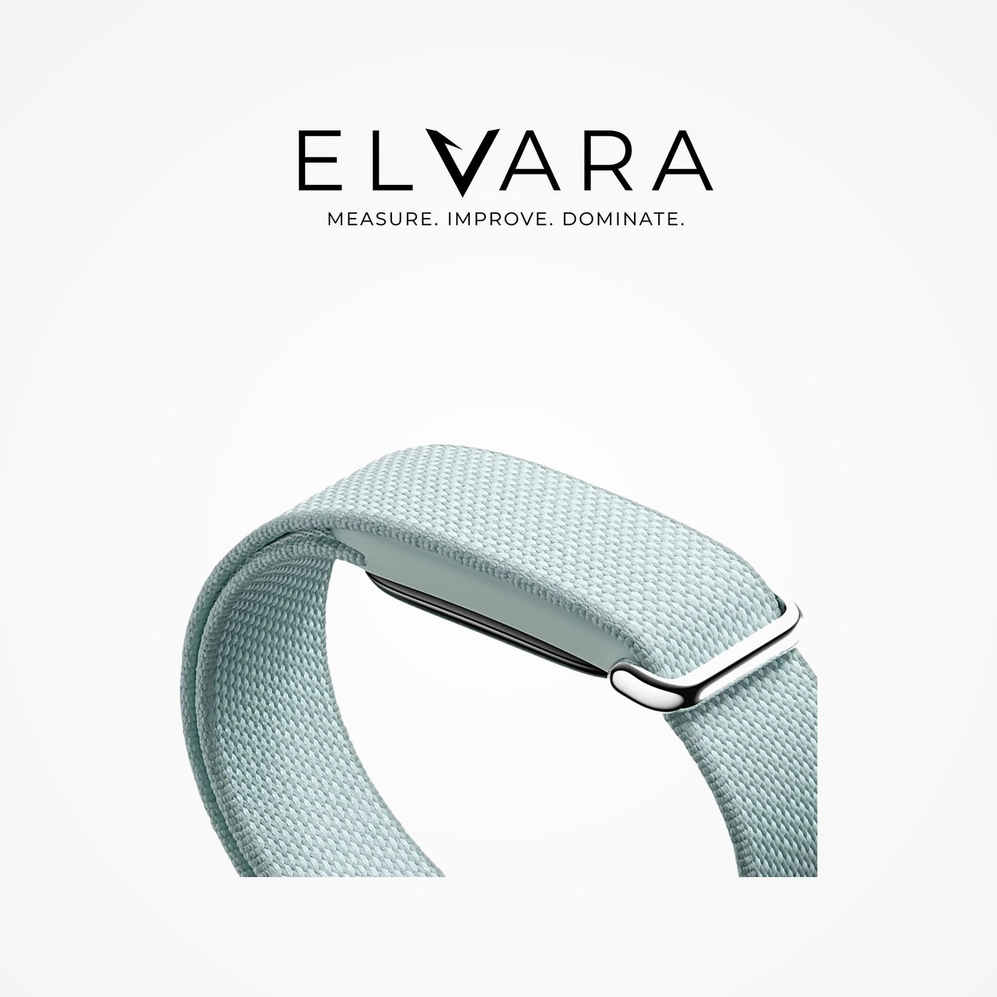 Google Fitbit Air | Fog