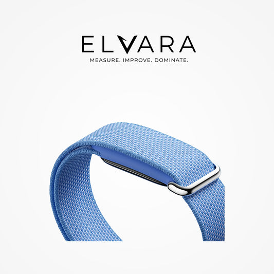 Google Fitbit Air | Lavender