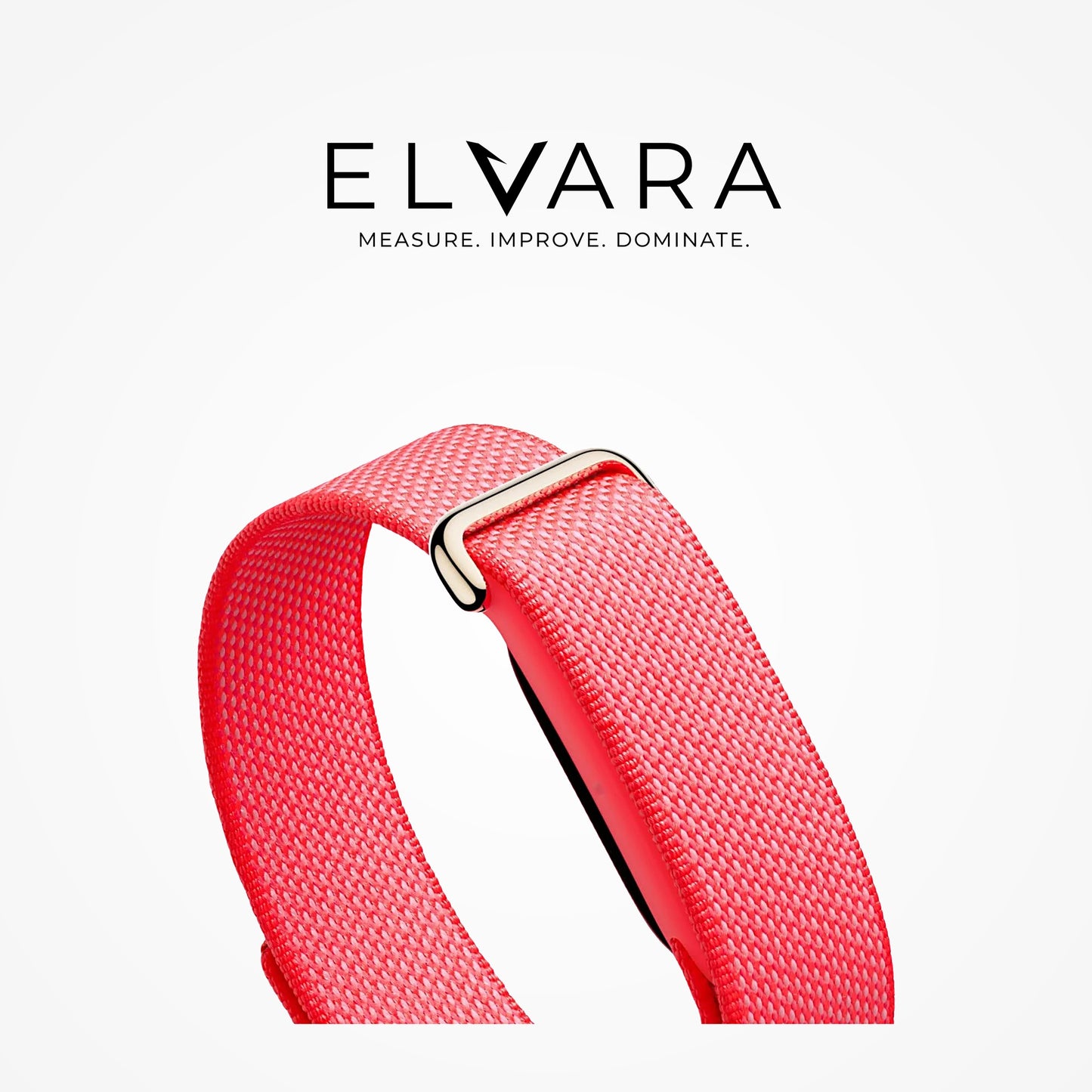Google Fitbit Air | Berry